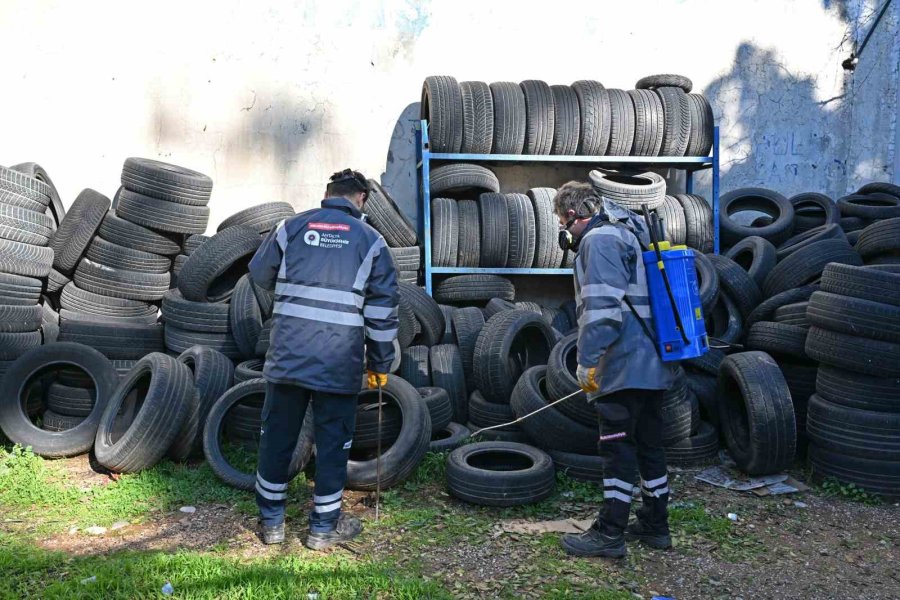 Büyükşehir’den Haşere Ve Vektörlere Karşı Kış Mücadelesi