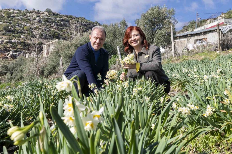 Mersin’de 4. Nergis Şenliği Binlerce Vatandaşı Buluşturdu