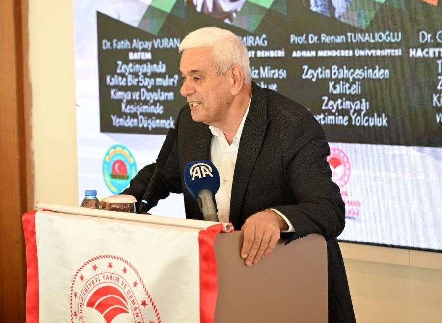 Antalya’da Zeytinlik Alan 20 Yılda 2 Katına Çıktı