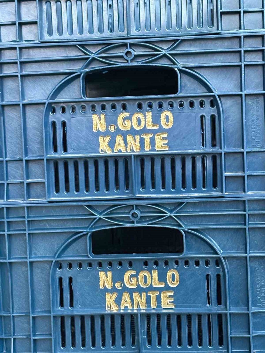 Fanatik Üreticinin ‘kante’ Sevgisi: Domatesleri Topladığı Kasaya Bile Onun Adını Yazdırdı