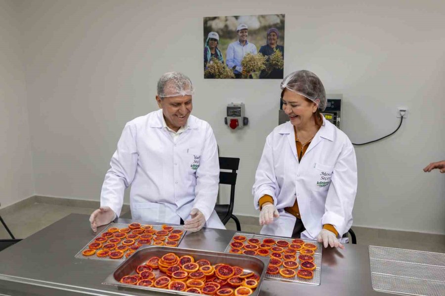 Başkan Seçer: "kırsal Kalkınma İle Birlikte Mersin Tanınsın İstiyoruz"