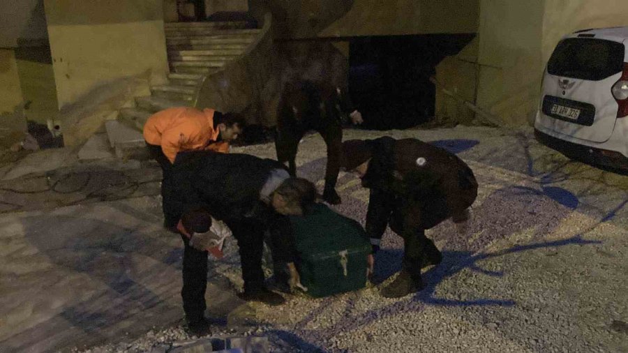 Polis Kavga İhbarına Gitti, Banyoda Cesetle Karşılaştı: 3 Gözaltı