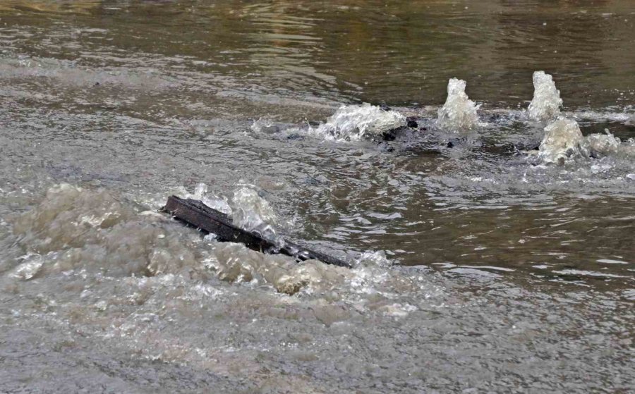 Antalya’da ’sarı Kod’ Uyarısı: Rögarlar Taştı, Telef Olmuş Dana Kıyıya Vurdu
