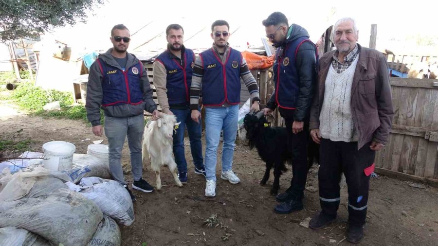 Jandarma Kayıp 5 Koyun İçin 3 İş Yeri Ve 9 Meskene Ait Toplam 24 Saatlik Güvenlik Kamerasını Saniye Saniye İnceledi