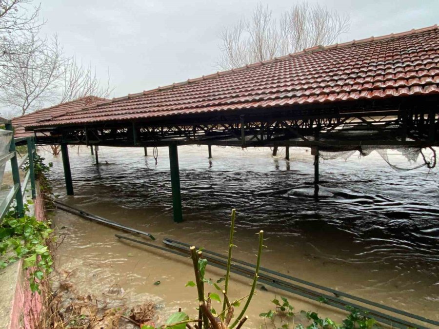 Sağanak Sebebiyle Köprüçay Taştı, İş Yerleri Ve Araziler Sular Altında Kaldı