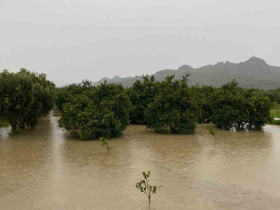 Sağanak Sebebiyle Köprüçay Taştı, İş Yerleri Ve Araziler Sular Altında Kaldı