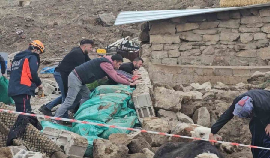 Aksaray’da Yağmur Ve Rüzgardan Ahır Hayvanların Üzerine Çöktü