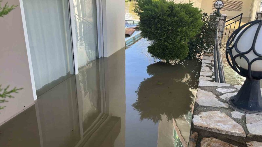 Taşan Çaydaki İşletme Yıkıldı, Sulara Kapılmak Üzere Olan Bir Köpek Son Anda Kurtarıldı