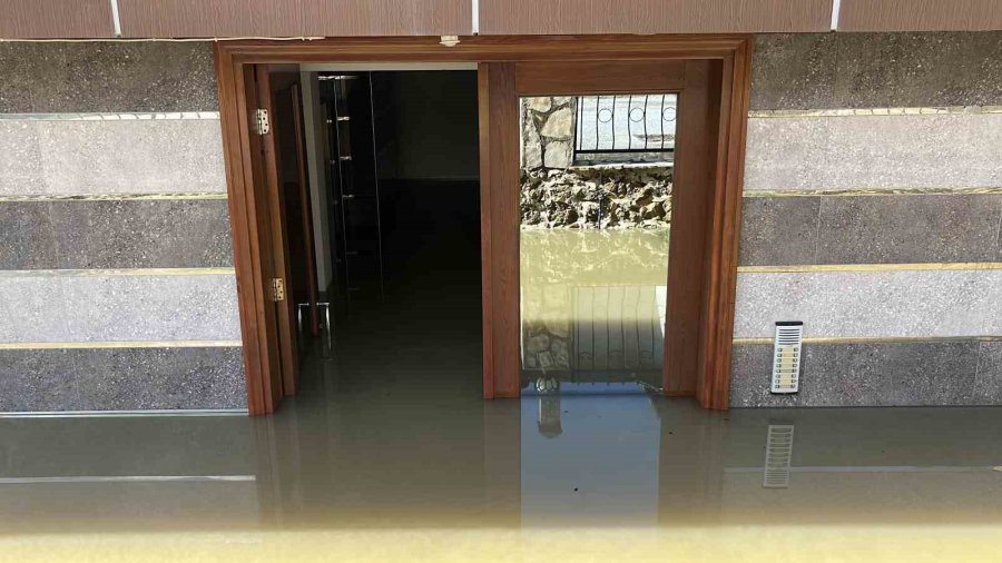 Taşan Çaydaki İşletme Yıkıldı, Sulara Kapılmak Üzere Olan Bir Köpek Son Anda Kurtarıldı