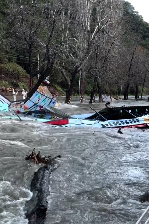 Taşan Çaydaki İşletme Yıkıldı, Sulara Kapılmak Üzere Olan Bir Köpek Son Anda Kurtarıldı
