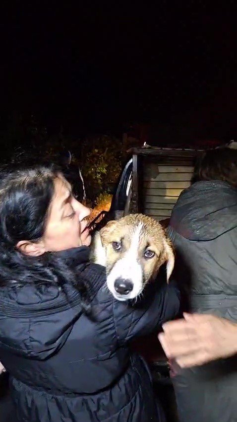 Antalya’da Sel Sularının Bastığı Barınakta Mahsur Kalan 27 Köpek Botlarla Kurtarıldı