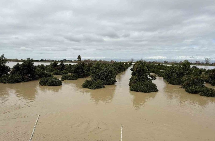 Tarsus’ta 8 Bin Dönüm Tarım Arazisi Sular Altında Kaldı