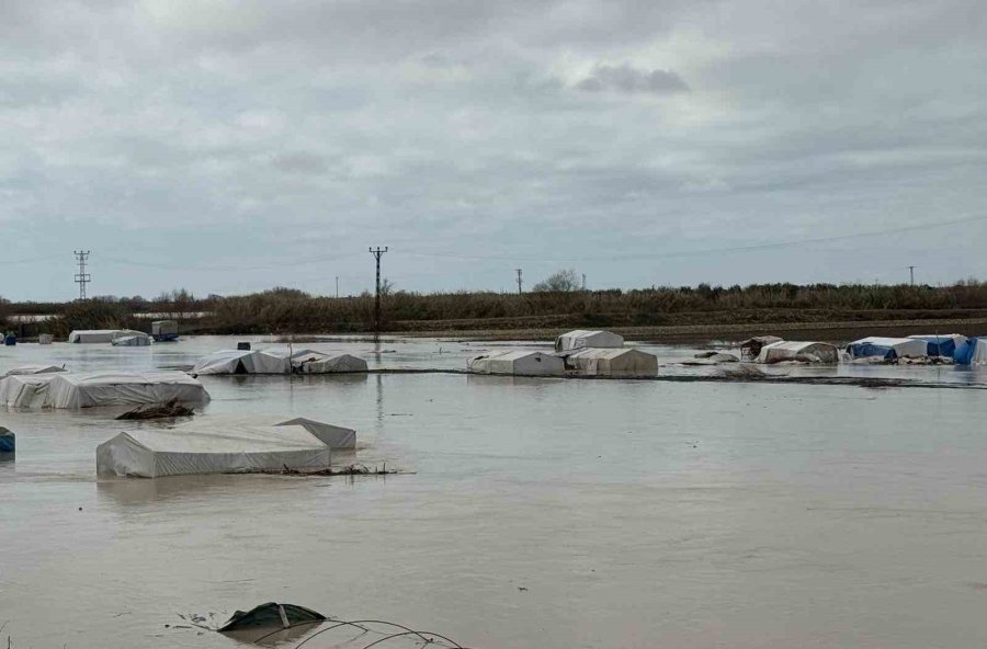 Tarsus’ta 8 Bin Dönüm Tarım Arazisi Sular Altında Kaldı