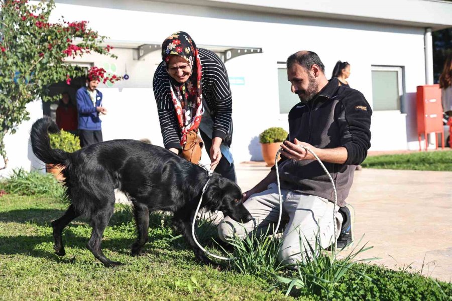 Antalya’da Sokak Hayvanları Yeni Sahiplerini Bekliyor