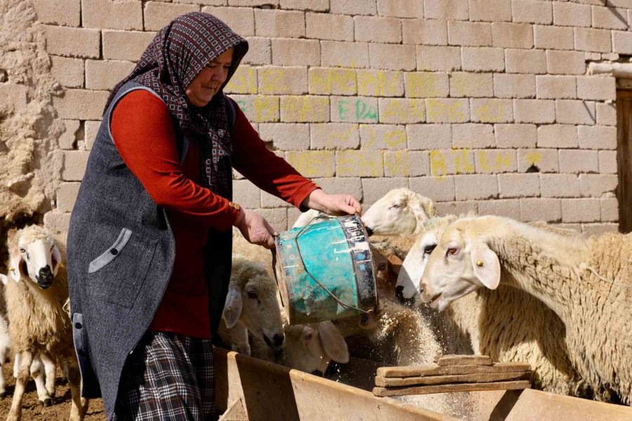 Vali Duru: "1,5 Milyarlık Finansmanla 125 Bin Küçükbaş Hayvan Alımı Yapılacak"