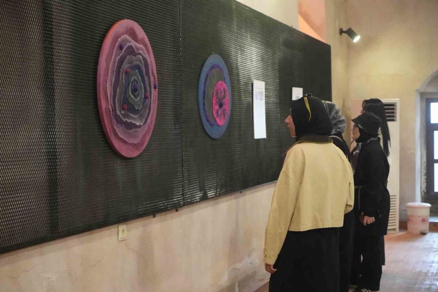 Bakteriler, Sanatın İlham Kaynağı Oldu