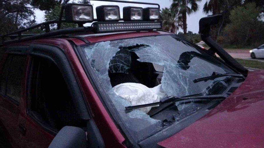 Alkollü Sürücü Palmiyeye Çarptı: 2 Yaralı