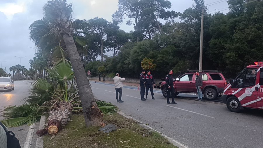 Alkollü Sürücü Palmiyeye Çarptı: 2 Yaralı