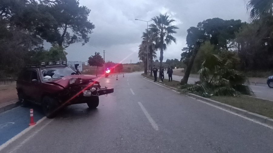 Alkollü Sürücü Palmiyeye Çarptı: 2 Yaralı
