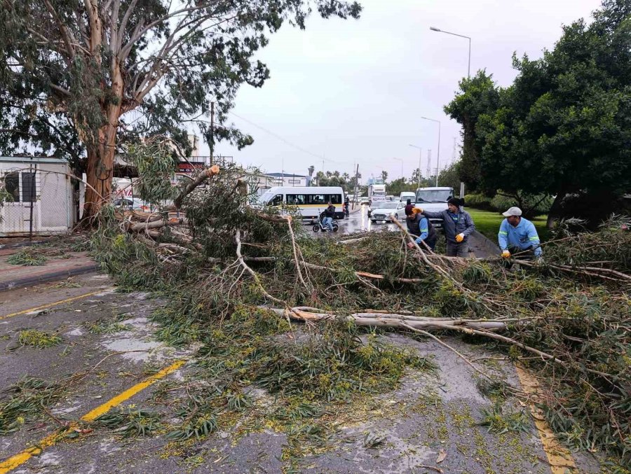 Mersin’de Fırtına Ve Sağanak Hayatı Olumsuz Etkiledi