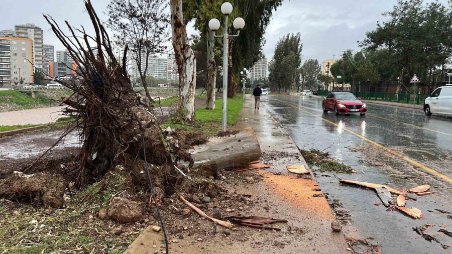 Mersin’de Fırtına Ve Sağanak Hayatı Olumsuz Etkiledi