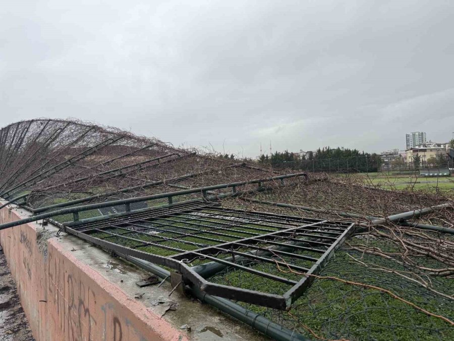 Tarsus’ta Yağmur Ve Fırtına Etkili Oldu, Seralar Zarar Gördü