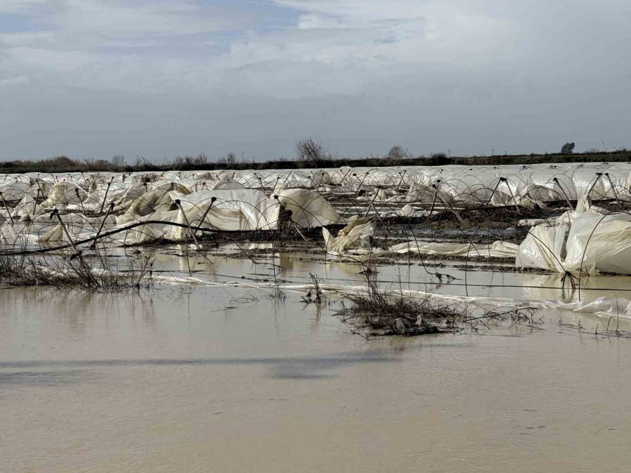 Tarsus’ta Yağmur Ve Fırtına Etkili Oldu, Seralar Zarar Gördü
