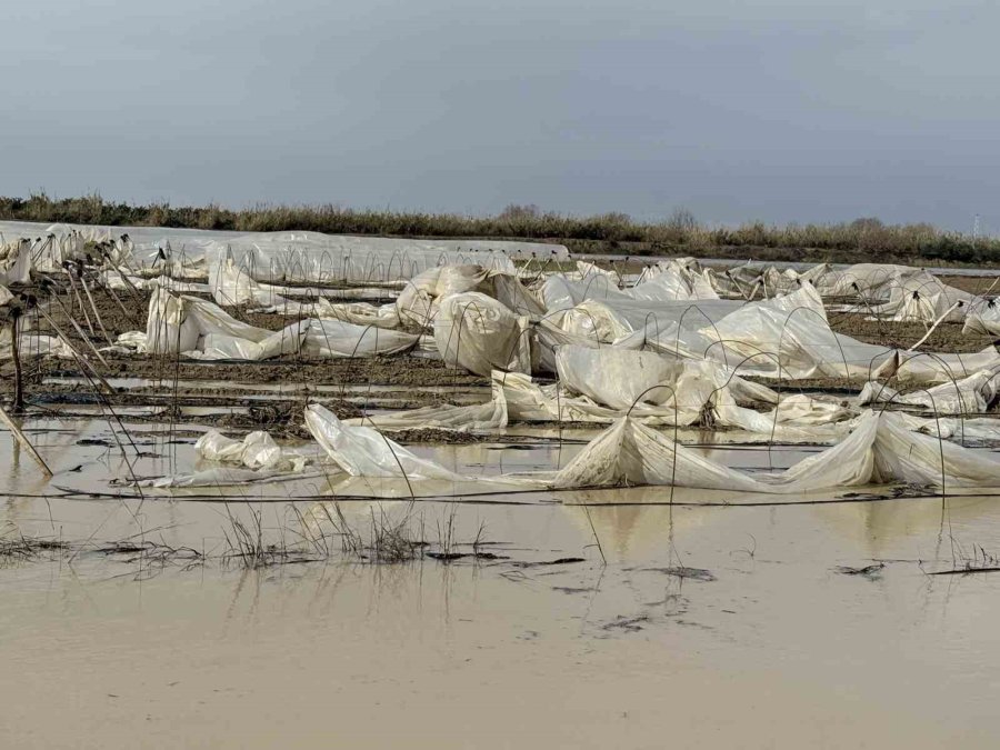 Tarsus’ta Yağmur Ve Fırtına Etkili Oldu, Seralar Zarar Gördü