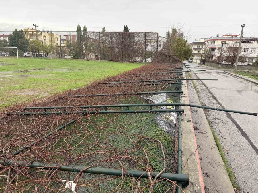 Tarsus’ta Yağmur Ve Fırtına Etkili Oldu, Seralar Zarar Gördü