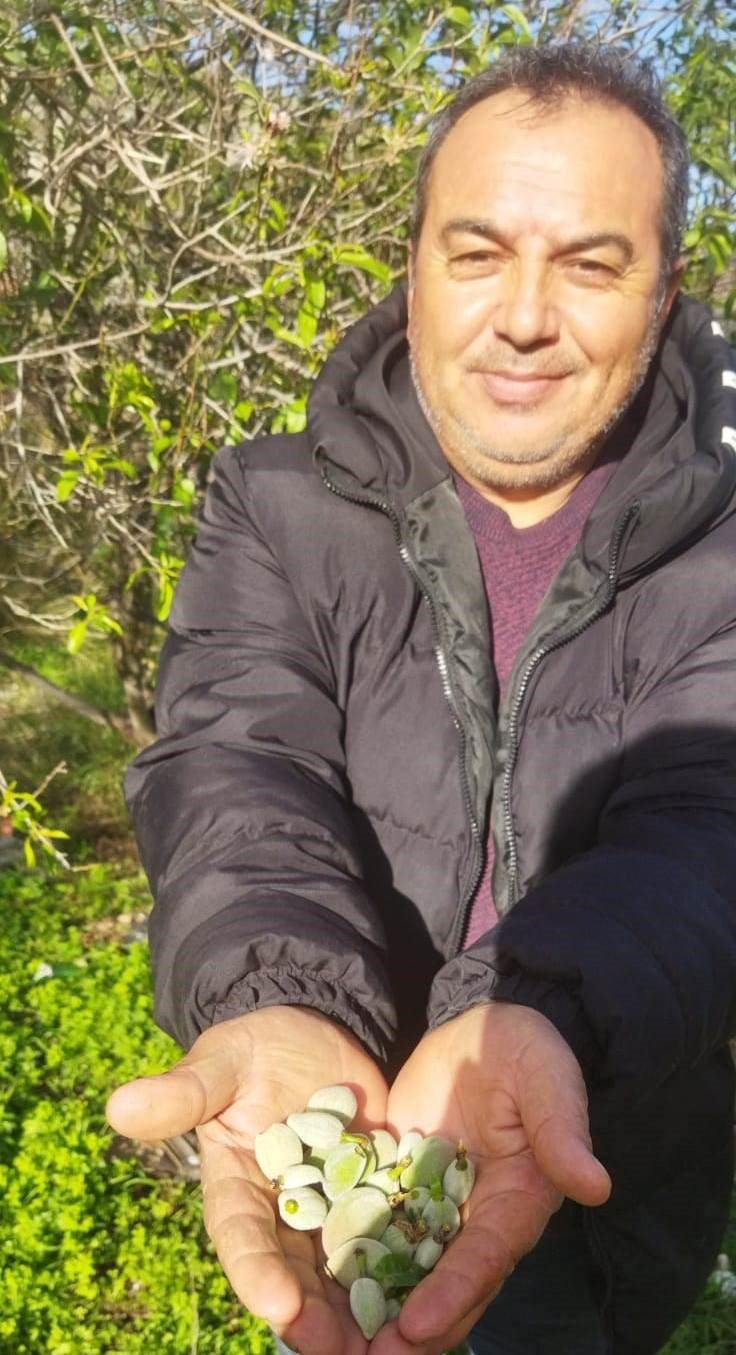 Kara Kışta Badem Sürprizi