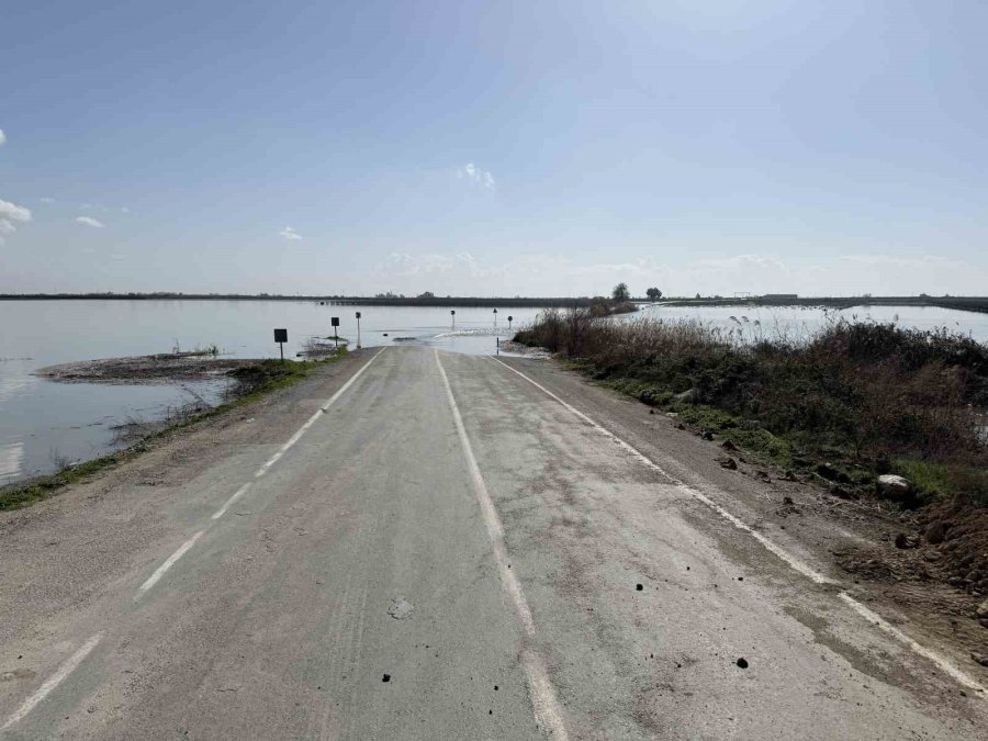 Seyhan Nehri Taştı, Tarsus’ta Tarım Arazileri Sular Altında Kaldı