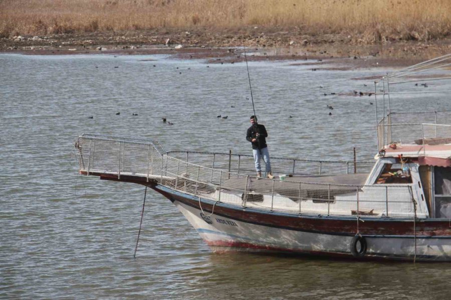 Beyşehir Gölü Hafif Canlandı, Oltalar Yeniden Tatlı Sulara Bırakıldı