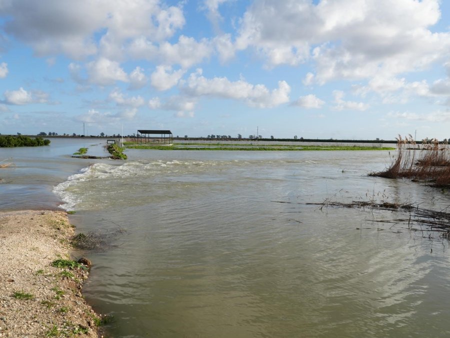 Tarsus Belediyesi Sel Ve Fırtına Sonrası Zarar Tespiti İçin Sahada