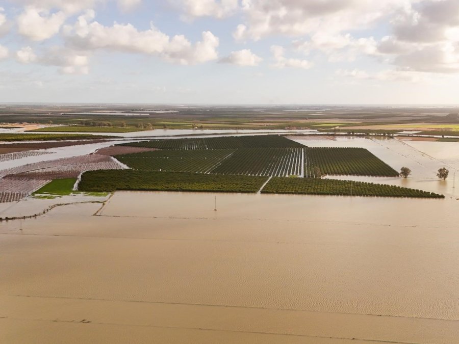 Tarsus Belediyesi Sel Ve Fırtına Sonrası Zarar Tespiti İçin Sahada
