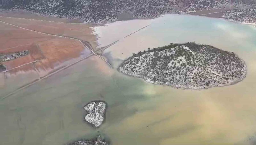 Gören "meke" Sandı, Gerçek Başka Çıktı