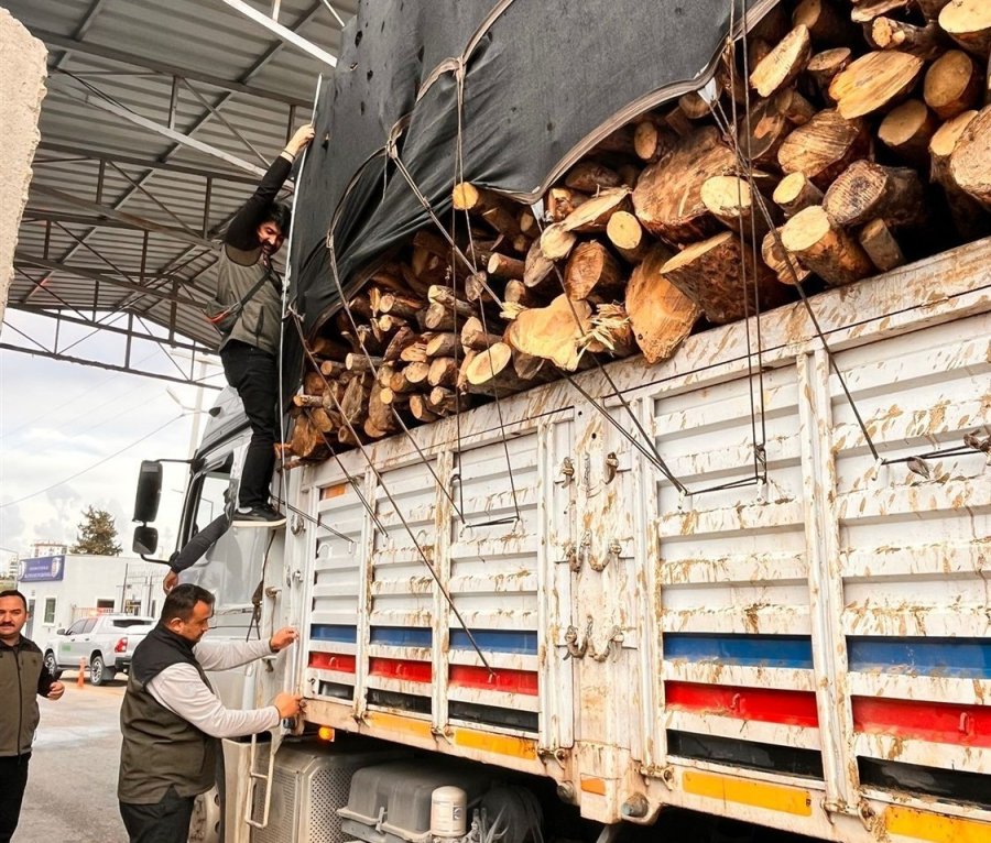 Mersin’de Orman Suçlarına Eş Zamanlı Denetim