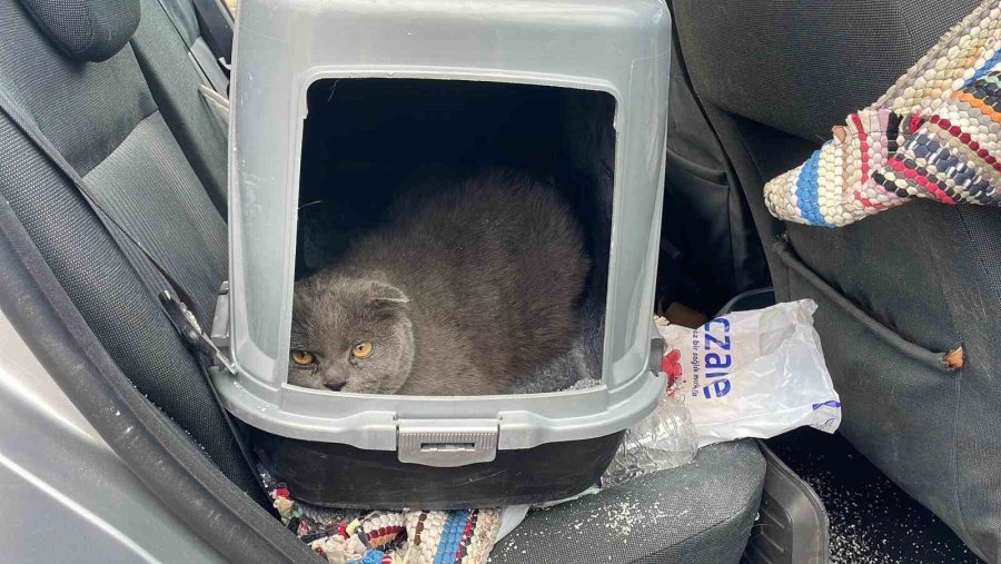 Karaman’da Otomobil Şarampole Takla Attı: 1 Yaralı