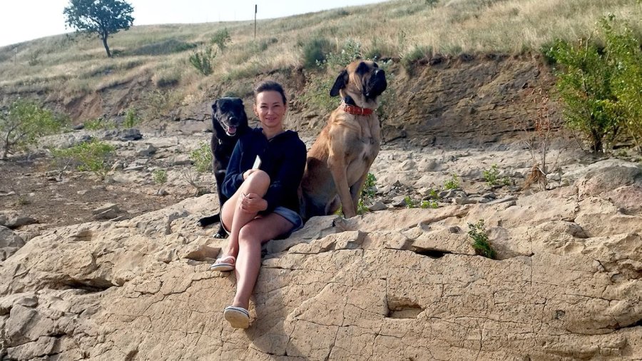 Rus Sahipleri, Kaybolan Köpeklerini Sokak Sokak Arıyor: Canlı Bulana 100 Bin, Ölü Bulana 10 Bin Ödül