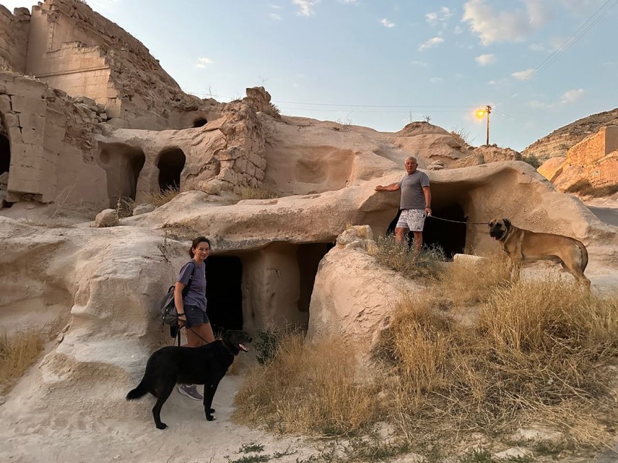 Rus Sahipleri, Kaybolan Köpeklerini Sokak Sokak Arıyor: Canlı Bulana 100 Bin, Ölü Bulana 10 Bin Ödül