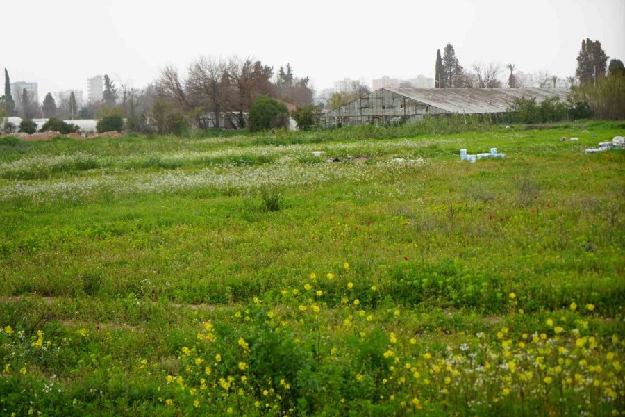 Türkiye Son 20 Yılda, Antalya’dan Büyük Tarım Alanını Kaybetti