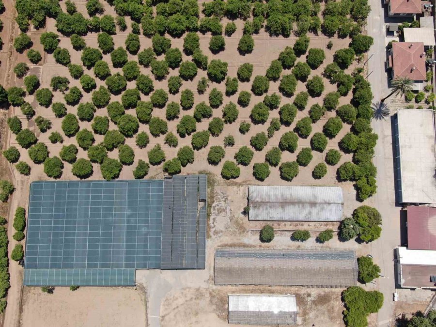 Türkiye Son 20 Yılda, Antalya’dan Büyük Tarım Alanını Kaybetti