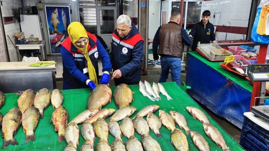 Beyşehir Gölünde Avcılık Falliyetleri Denetim Altındı
