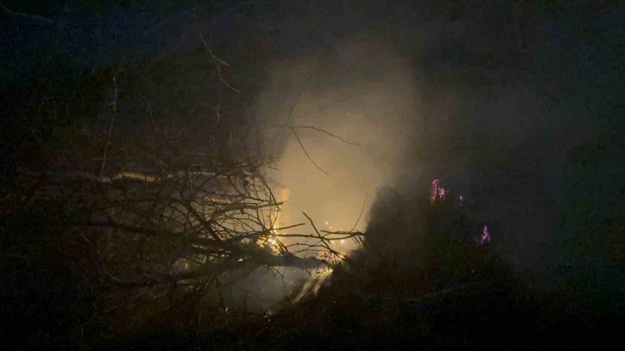 Gazipaşa Selinus Kalesi’ndeki Çalılık Yangını Korkuttu