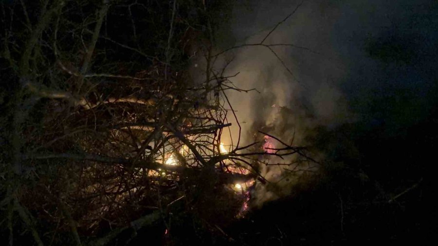 Gazipaşa Selinus Kalesi’ndeki Çalılık Yangını Korkuttu