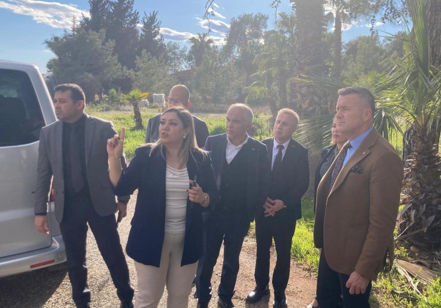 Mersin Tarımı Faydalı Böcekle Biyolojik Mücadeleye Odaklandı