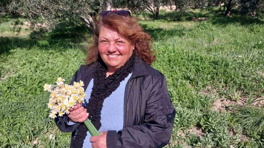 Mersin’de Baharı Yaşatan Nergis Çiçekleri Gelir Kaynağı Oldu