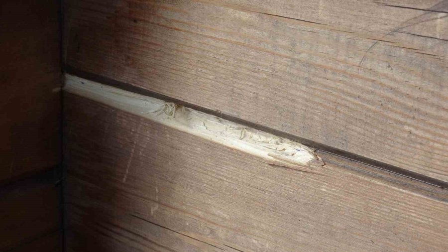 Tokalaştığı Şahsın Silahlı Saldırısına Uğrayıp Ölümle Burun Buruna Gelmişti, 2 Şüpheli Tutuklandı