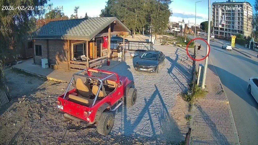 Tokalaştığı Şahsın Silahlı Saldırısına Uğrayıp Ölümle Burun Buruna Gelmişti, 2 Şüpheli Tutuklandı