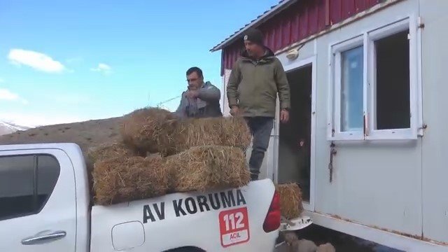 Demirkazık’ta Yaban Hayatı İçin Yemleme Çalışmaları Sürüyor