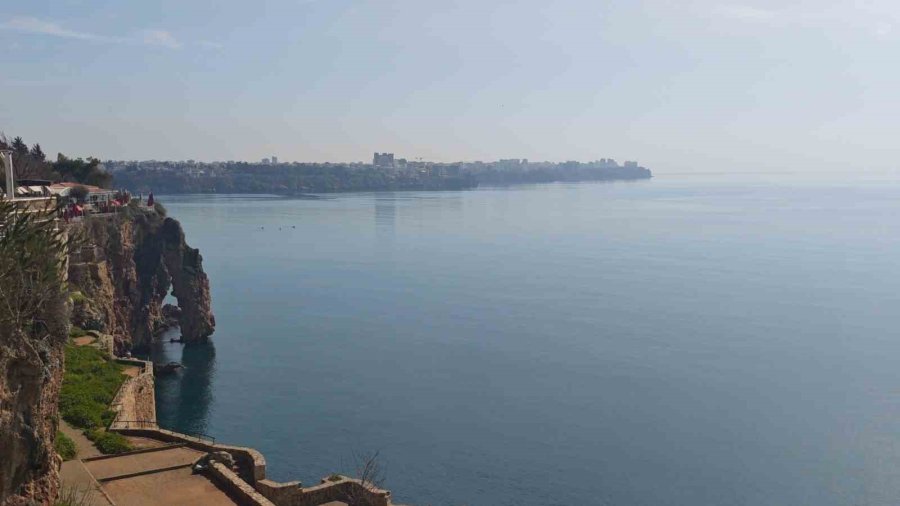 Poyraz, Akdeniz’deki En Büyük Denizanası Türünü Antalya Körfezi’ne Soktu